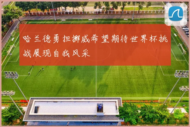 哈兰德勇担挪威希望期待世界杯挑战展现自我风采