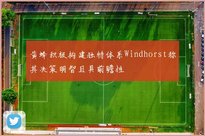 黄蜂积极构建独特体系Windhorst称其决策明智且具前瞻性