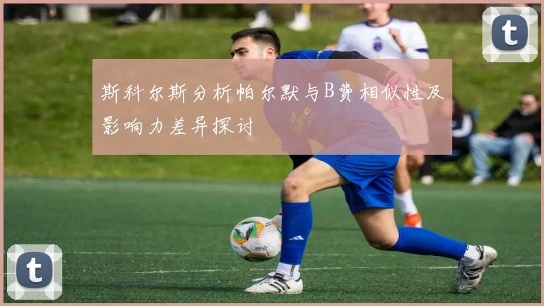 斯科尔斯分析帕尔默与B费相似性及影响力差异探讨